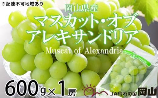 ぶどう 2026年 マスカット ・オブ・アレキサンドリア 約600g×1房 6月下旬～7月下旬発送分 ブドウ 葡萄  岡山県産 国産 フルーツ 果物 ギフト