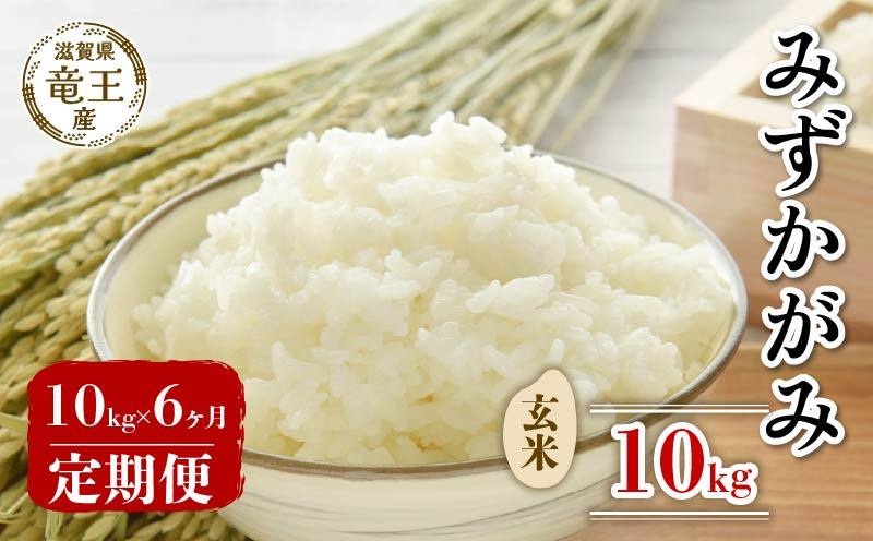 
            【 先行予約 】 令和7年産 新米 予約 みずかがみ 玄米 10kg 定期便 6ヶ月 みずかがみ 定期 6か月  10kg × 6回 計 60kg 米 滋賀県 竜王町 国産 農家直送 特別栽培米 ミズカガミ  2025年産 国産 農家直送 環境こだわり お米 こめ おこめ 産地直送 送料無料 滋賀県 竜王町 ふるさと納税
          