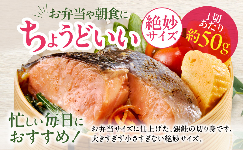 【定期便】銀鮭 切身 約50g×20切れ 全6回【お弁当サイズ 小分け 漁師 手切り 1kg さけ サケ 切り身 弁当 朝食 時短 訳あり サイズ不揃い 規格外 冷凍食品】 G4011