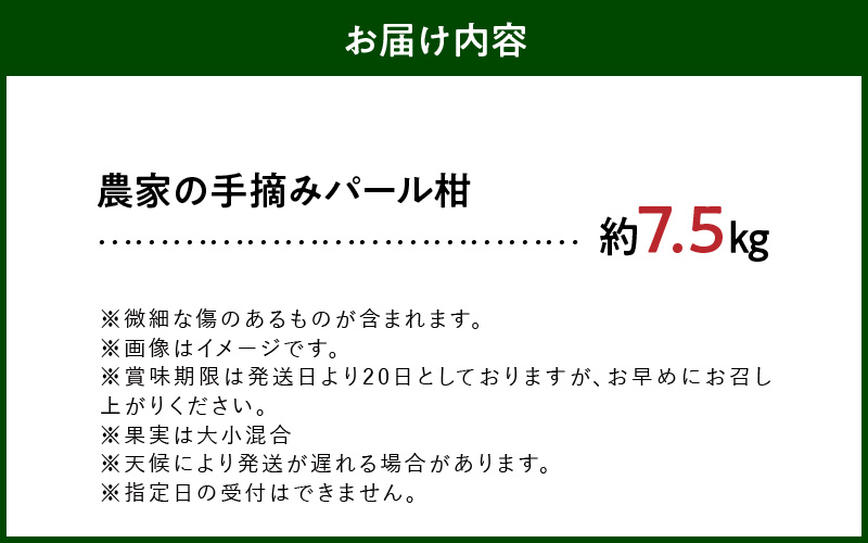 S040-022_農家の手摘み パール柑 7.5kg以上〈先行予約〉