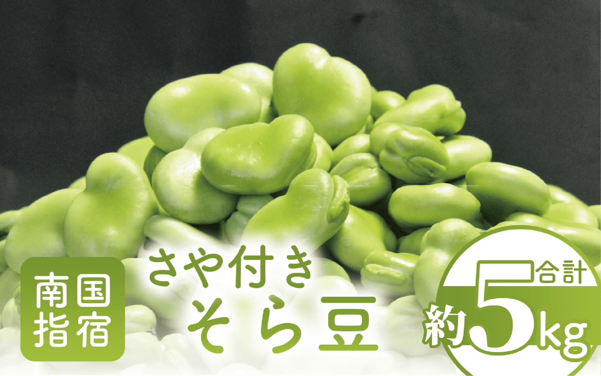 【2026年3月中旬～発送】さや付きそら豆約5kg～春～(アグリスタイル/013-1575) そらまめ ソラマメ そら豆 豆 旬 春 野菜 サラダ おつまみ ご家庭用 そらまめ ソラマメ そら豆 豆 旬 春 野菜 サラダ おつまみ ご家庭用