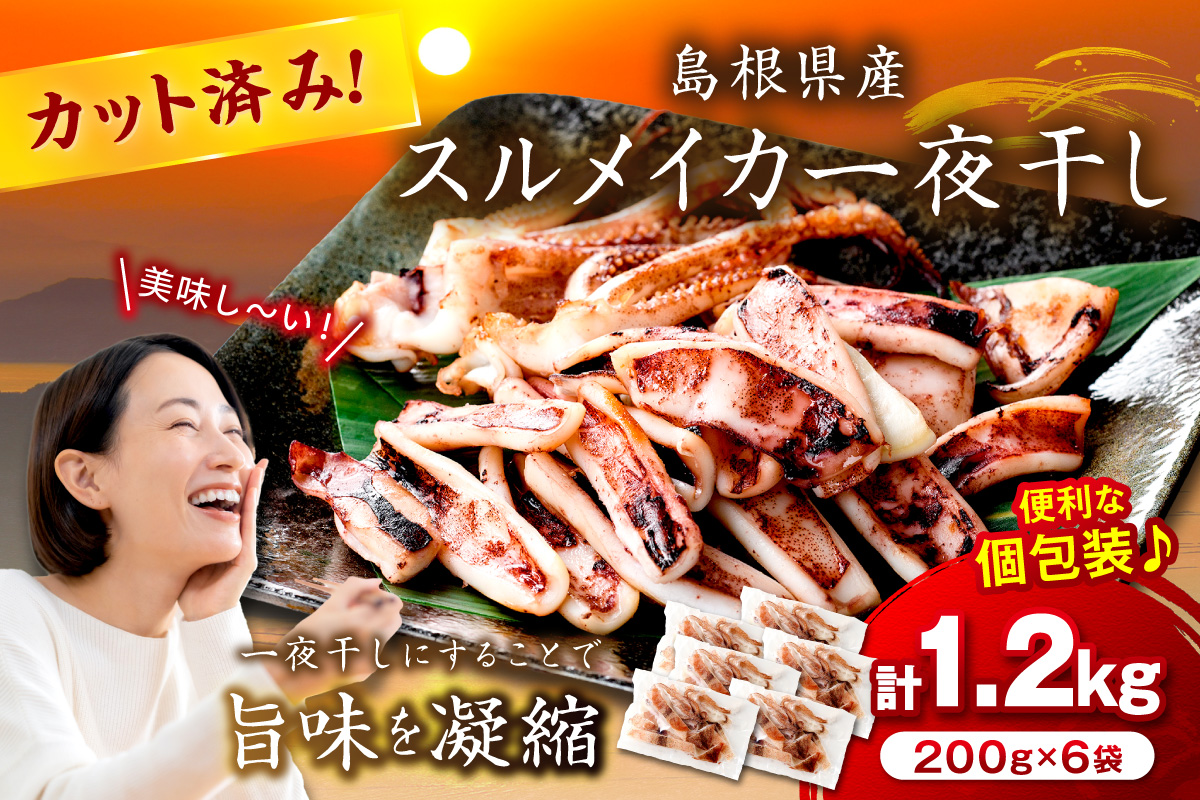 島根県産スルメイカ一夜干しカット済 計1.2kg（小分け200gｘ6袋） いか スルメ 一夜干し 1.2キロ カット済 おつまみ 小分け 個別包装 少量 【1780】