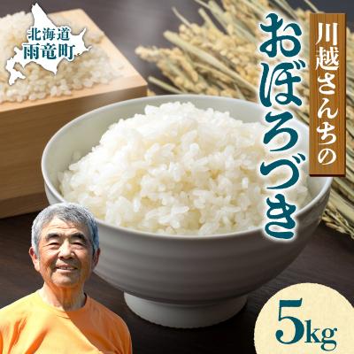 ふるさと納税 雨竜町 令和7年産 川越さんちの おぼろづき 5kg (5kg×1袋)
