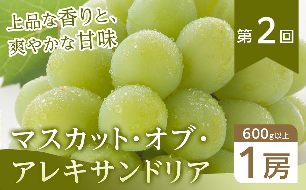 【全6回コース】晴れの国岡山 フルーツ定期便