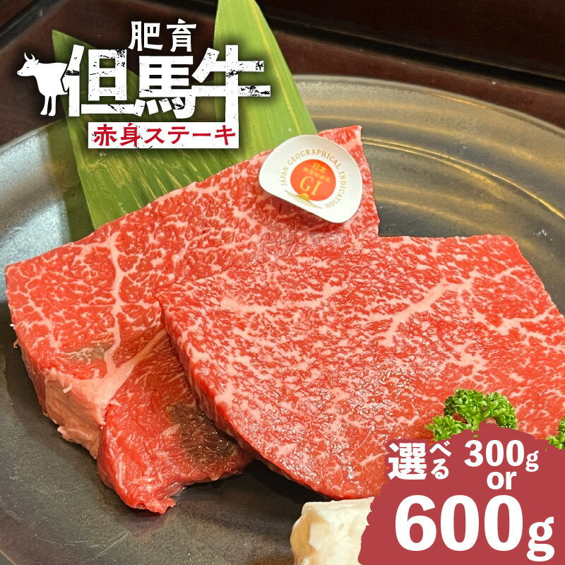 【ふるさと納税】肥育但馬牛 赤身ステーキ【選べる内容量 300g・600g】比較的脂身が少ない赤身ステーキ！ 和牛 赤身肉 ステーキ 但馬牛 ブランド牛 ブランド肉 国産牛 高級 人気返礼品 バーベキュー 鉄板焼き 冷凍 02-32 送料無料