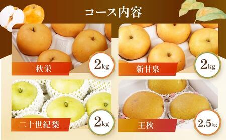 【先行予約】数量限定【定期便】鳥取県産 梨の食べ比べ 4種類コース