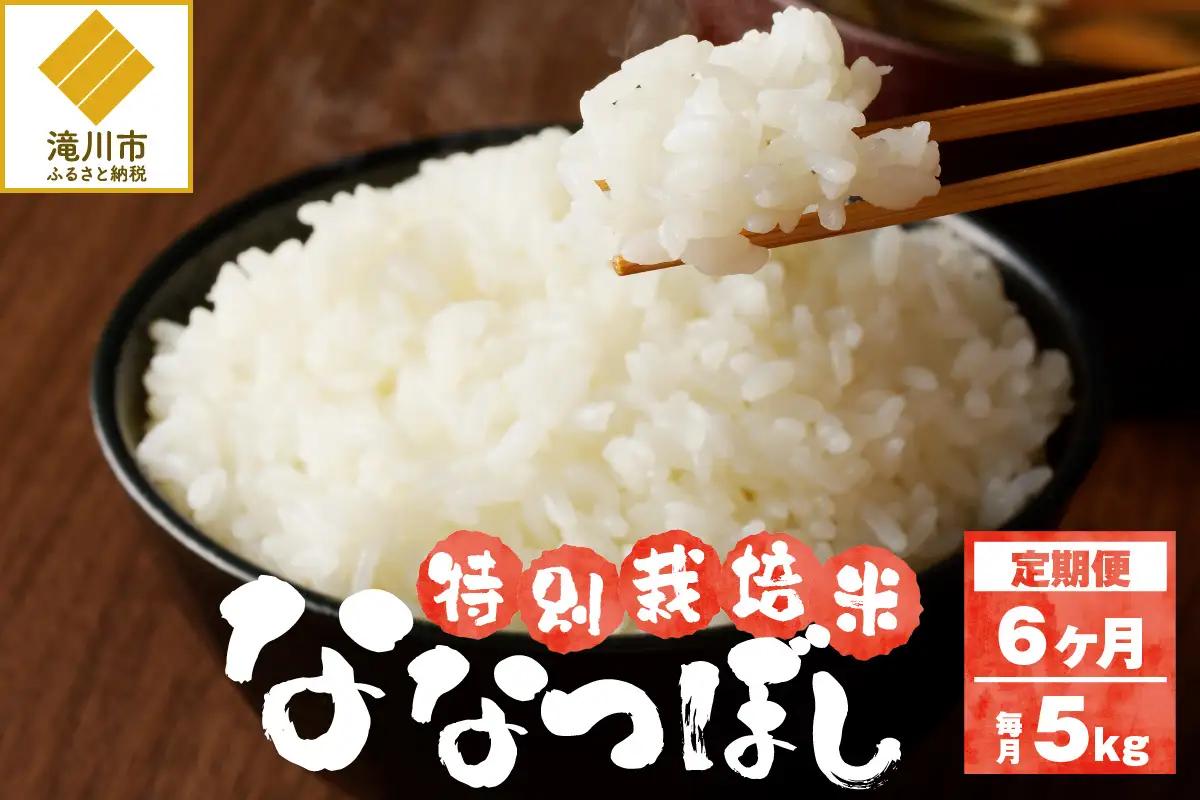 《令和7年産》特別栽培米ななつぼし 5kg×6ヵ月定期便 | 16年連続特A ブランド米 白米 精米 米 お米 こめ 減農薬 単一原料米 ご飯 北海道米 北海道 滝川市