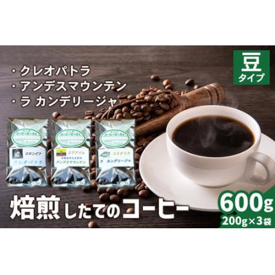 ふるさと納税 伊勢原市 コーヒー豆3袋(クレオパトラ/アンデスマウンテン/ラ カンデリージャ)