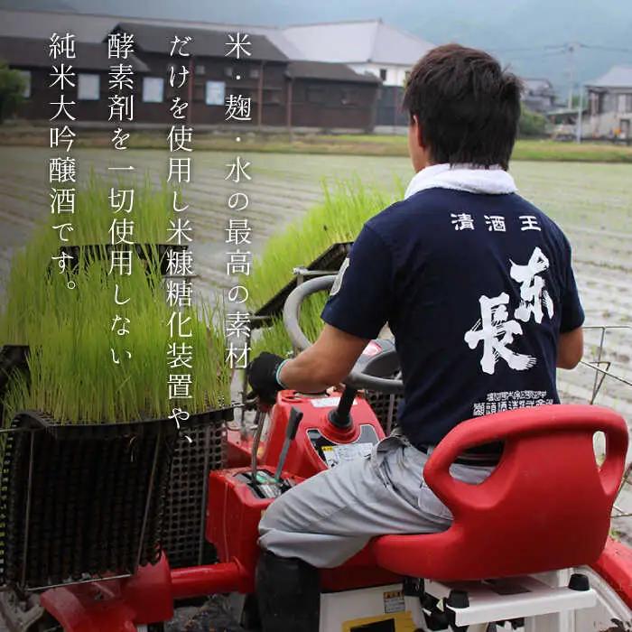 【定期便】 日本酒 大吟醸東長 NAH031 日本酒 全6回