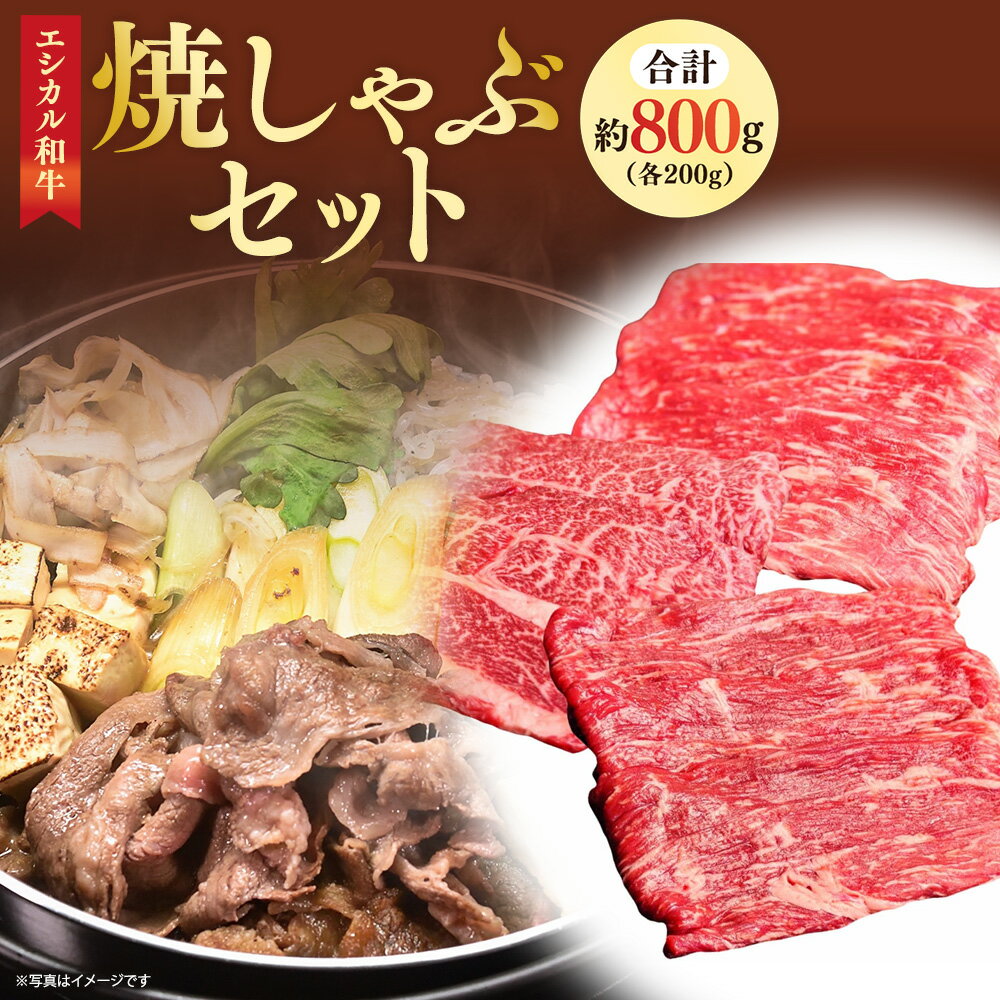 【ふるさと納税】【エシカル和牛】あか牛の極み・焼しゃぶセット 計約800g 各約200g 肩ロース モモ薄切り あか牛 和牛 牛肉 肉 お肉 薄切り スライス しゃぶしゃぶ すき焼き すきやき 鉄板焼 鍋 セット 国産 九州 熊本県 個装 冷凍 送料無料