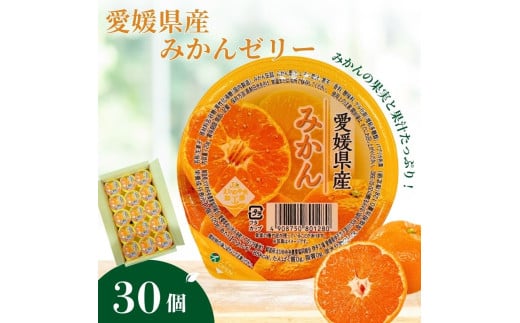 みかんゼリー 30個 大容量 みかん 柑橘 ゼリー フルーツゼリー 果物 果肉 果汁 数量限定 お菓子 おやつ デザート お取り寄せ スイーツ ギフト 贈答用 プレゼント まとめ買い 愛媛 伊予市 | B259