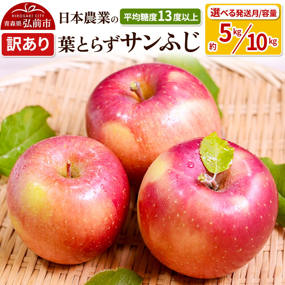 【ふるさと納税】【レビューキャンペーン】りんご 【先行受付】平均糖度13度以上！ 葉とらずサンふじ 約5kg／約10kg 訳あり【選べる容量＆発送月】青森 果物 フルーツ 林檎 リンゴ くだもの 不揃い 規格外 予約