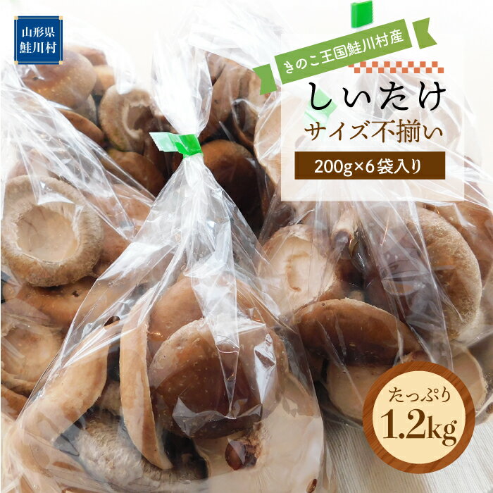 【ふるさと納税】きのこ王国鮭川村産 ［しいたけ］ サイズ不揃い たっぷり1.2kg（300g×4袋入り）