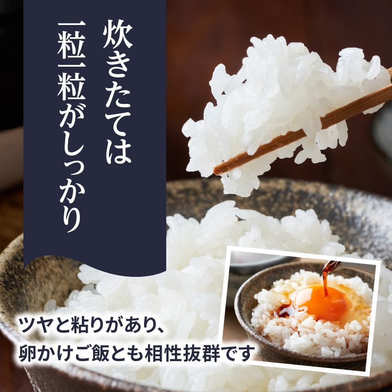 九州・福岡からお届け！ブランド米「元気つくし」5kg×1袋 お米 米 コメ 白米 特A 直送 お弁当 おにぎり 炊きたて ツヤ 粘り もちもち 弾力 卵かけご飯 福岡県 八女市