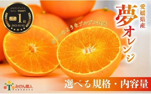 
            【選べる】みかん職人の夢オレンジ【訳あり2kg・3kg・5kg】【特選品2kg・3kg・5kg】 ＜発送期間：11月中旬～1月下旬＞みかん職人武田屋 蜜柑 愛果28号 愛媛果試第28号 まどんな 大小ミックスサイズ 糖度 甘い 甘さ センサー 計測 規準 みかん かんきつ 柑橘 冬 旬 食べごろ 農家 農家直送 農園 人気 みかん職人 武田屋 産直 みかん職人武田屋 愛媛県 愛南町
          