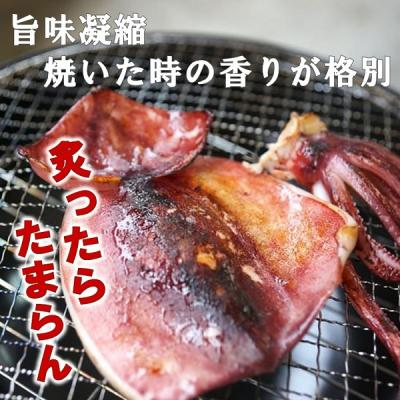 ふるさと納税 普代村 北三陸産 イカ一夜干し 3枚入×3袋 いか イカ焼き いかめし イカゲソ |  | 01