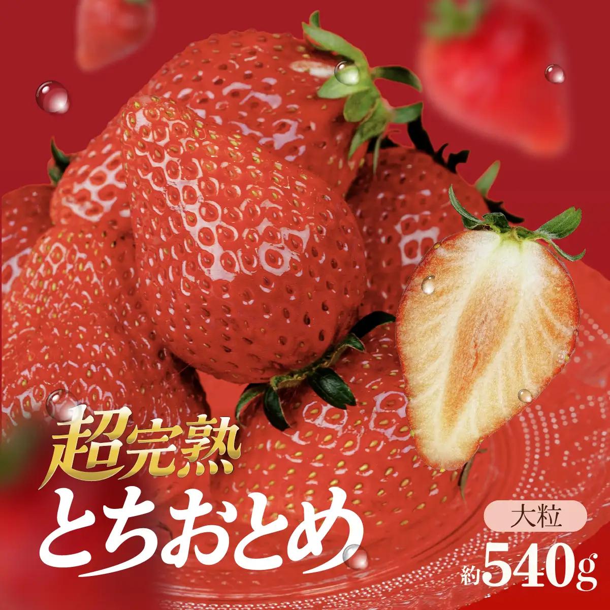 いちご【1月以降発送】朝摘み とちおとめ 大粒 2パック540g |いちご イチゴ
