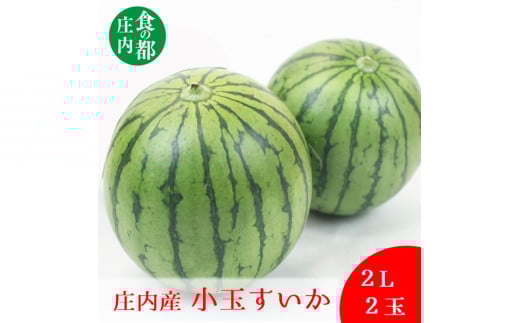食の都庄内　【令和7年産】庄内の小玉すいか2玉（2L）※7月上旬頃より順次配送