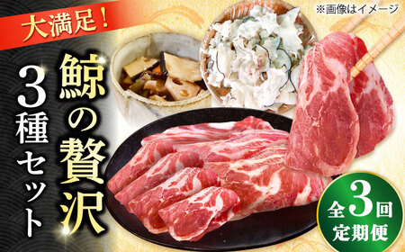 3回定期便 厳選！3種鯨定期便 [DBM018] 鯨