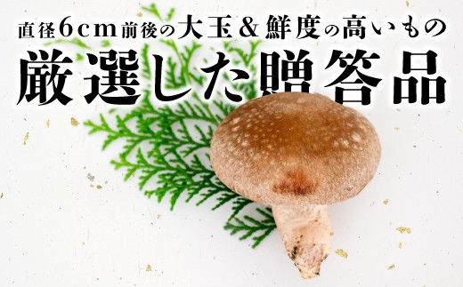 直径6㎝前後の大玉＆鮮度の高いもの