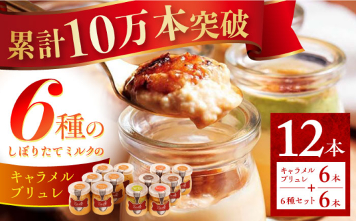 長崎県産ミルクのキャラメルブリュレ 12本セット（キャラメルブリュレ6本・6種セット6本） 長崎県/心優-CotoyuSweets- [42AFAE009] 冷凍 スイーツ  贈答  ギフト バレンタイン ホワイトデー スピード 発送 配送 最速 最短 すぐ届く すぐ発送