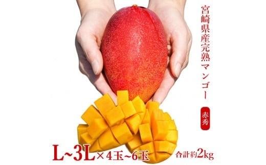 宮崎県産完熟マンゴー[赤秀] 合計約2kg（4～6玉）