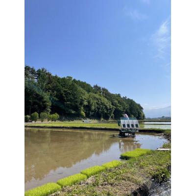 ふるさと納税 朝日村 はざかけ米(ゆうだい21)5キロ(白米)【栽培期間中農薬・化学肥料、不使用栽培】 |  | 01