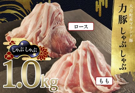 【国産】力豚 豚肉 もも ロース しゃぶしゃぶ 2種 1kgセット 小分け ブランド豚 豚しゃぶ 鍋