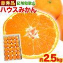 【ふるさと納税】 【先行予約】赤秀品 紀州和歌山 ハウス みかん 約2.5kg 株式会社魚鶴商店《2025年6月下旬-7月中旬頃出荷》和歌山県 日高町 みかん ミカン 蜜柑 フルーツ 柑橘