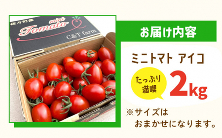 【甘くてジューシー】ミニトマト アイコ 2.0kg【C&T farm】 [QBG002] [QBG002]