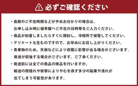 【年6回定期便】くまもとのフルーツ定期便 晩白柚 デコポン すいか メロン シャインマスカット マンゴー なし みかん