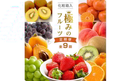 【全9回】極みのフルーツ定期便 (化粧箱入り)