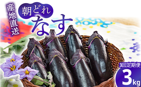 【3回定期便】なす3kg 安芸 なす （AZ005）