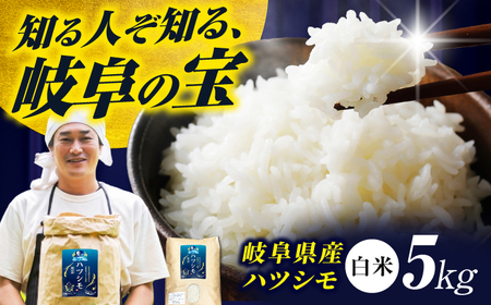 【令和7年度産】白米ハツシモ 5kg 白米 5kg[ANHI001]