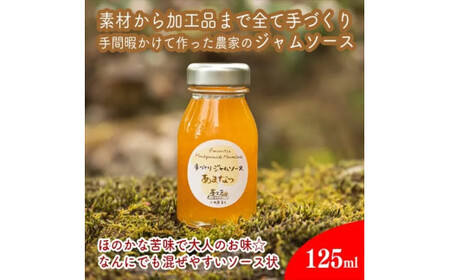 スイスで加工品を学んだ農家が手間暇かけた『手づくりジャムソース【あまなつ】』16本セット【 家庭用 自宅用 贈答品 贈答用 ギフト お取り寄せ お中元 お歳暮 贈り物 お祝い 神奈川県 小田原市 】