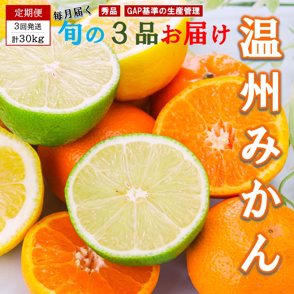 【ふるさと納税】 【 先行予約 】 【 3回定期便 】 くまもと柑橘 みかんの定期便 約 10kg 9月末より発送開始 | 熊本県 和水町 くまもと なごみ 蜜柑 極早生 太陽の雫 温州みかん 定期便