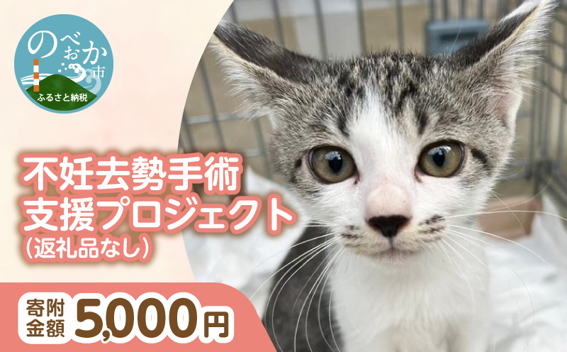 人と猫が互いに幸せになれるまちを目指して『不妊去勢手術支援プロジェクト』（返礼品はありません） N0159-9999993