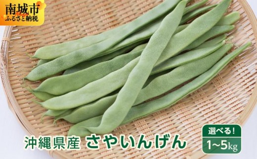 
                  【先行予約】＜選べる内容量＞サヤインゲン（ビックリジャンボ）1kg / 3kg / 5kg
                