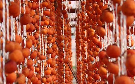 山形県産 紅柿 3個入×4袋 計440g F2Y-6168