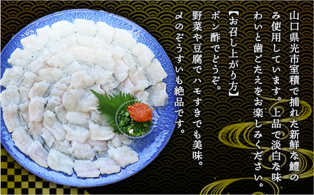 B004 鱧（ハモ）しゃぶセット（3人前） 冷蔵 山口県産