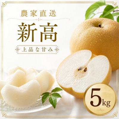 新高 梨 5kg 8～12玉 予約受付 梨 なし 甘い かすみがうら市【配送不可地域：離島・沖縄県】