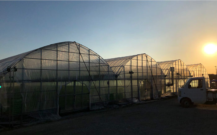 【2025年2月より発送】『自然環境農法』で育てた福岡県産 あまおう 約285g×2パック＜おおきべりー株式会社＞那珂川市 [GZE001]