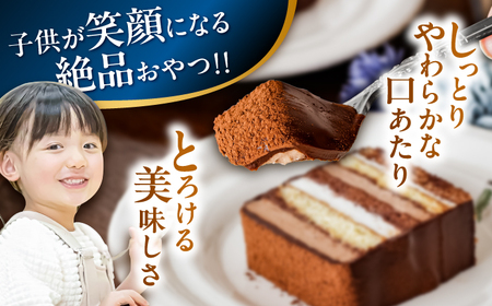 チョコレートケーキ 長崎石畳ショコラ ハーフサイズ2個 チョコケーキ [AHBS036]