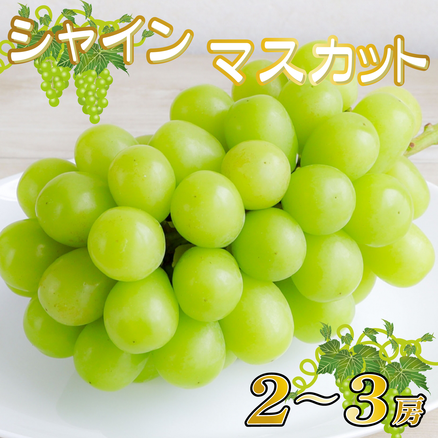 【産直もぎたて】シャインマスカット 1.3kg程度（2～3房 果実 くだもの フルーツ ブドウ 贈答用 限定）