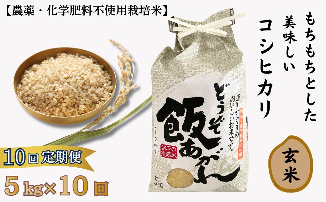 
            【定期便10回】もちもちとした美味しいコシヒカリ玄米【農薬・化学肥料不使用栽培米】5㎏×10回（計50kg）：C220-006
          
