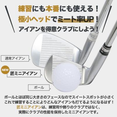 ふるさと納税 市川町 匠ミニアイアン「極小ミニヘッド」　035BF01N. |  | 01