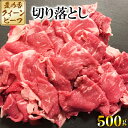 【ふるさと納税】豊の香 クイーンビーフ 切り落とし 500g ＜150-006_5＞