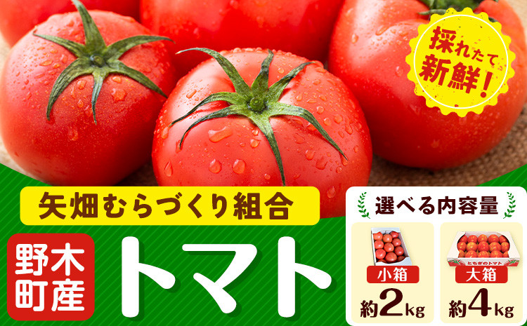 
            トマト 約2kg 小箱 約4kg 大箱 栃木県 野木町産 矢畑むらづくり組合 《10月上旬-2025年6月下旬頃出荷》栃木県 野木町 トマト 野菜 新鮮
          