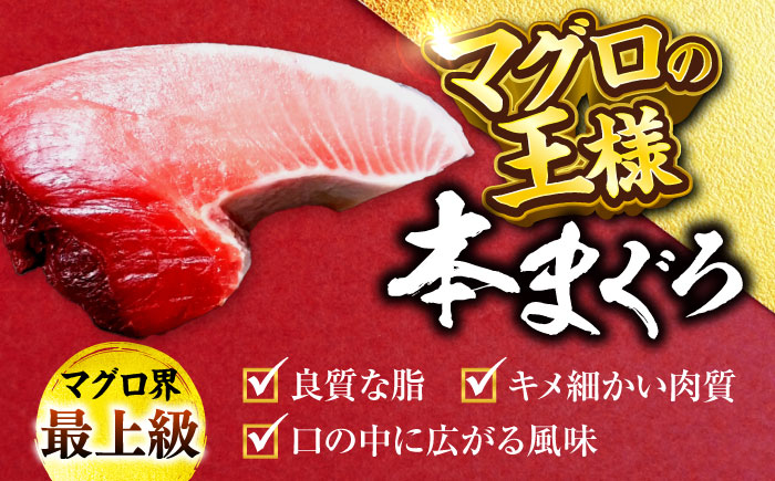 天然 本まぐろ大トロ＆赤身 各1柵（計約450g）【横須賀商工会議所 おもてなしギフト事務局（本まぐろ直売所 横須賀本店）】 [AKAK112]
