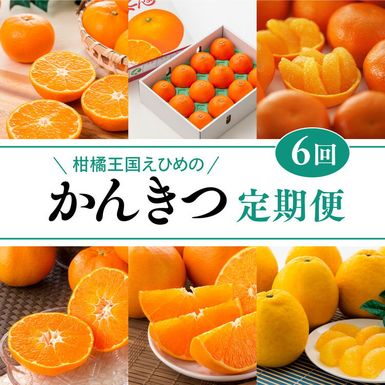 【ふるさと納税】【愛媛県共通返礼品】【定期便】愛媛の柑橘定期便（全6回）（日の丸みかん・紅まどんな・いよかん・不知火（デコポン）・せとか・河内晩柑）◇　※2025年11月下旬～2026年4月下旬に毎月1回発送予定
